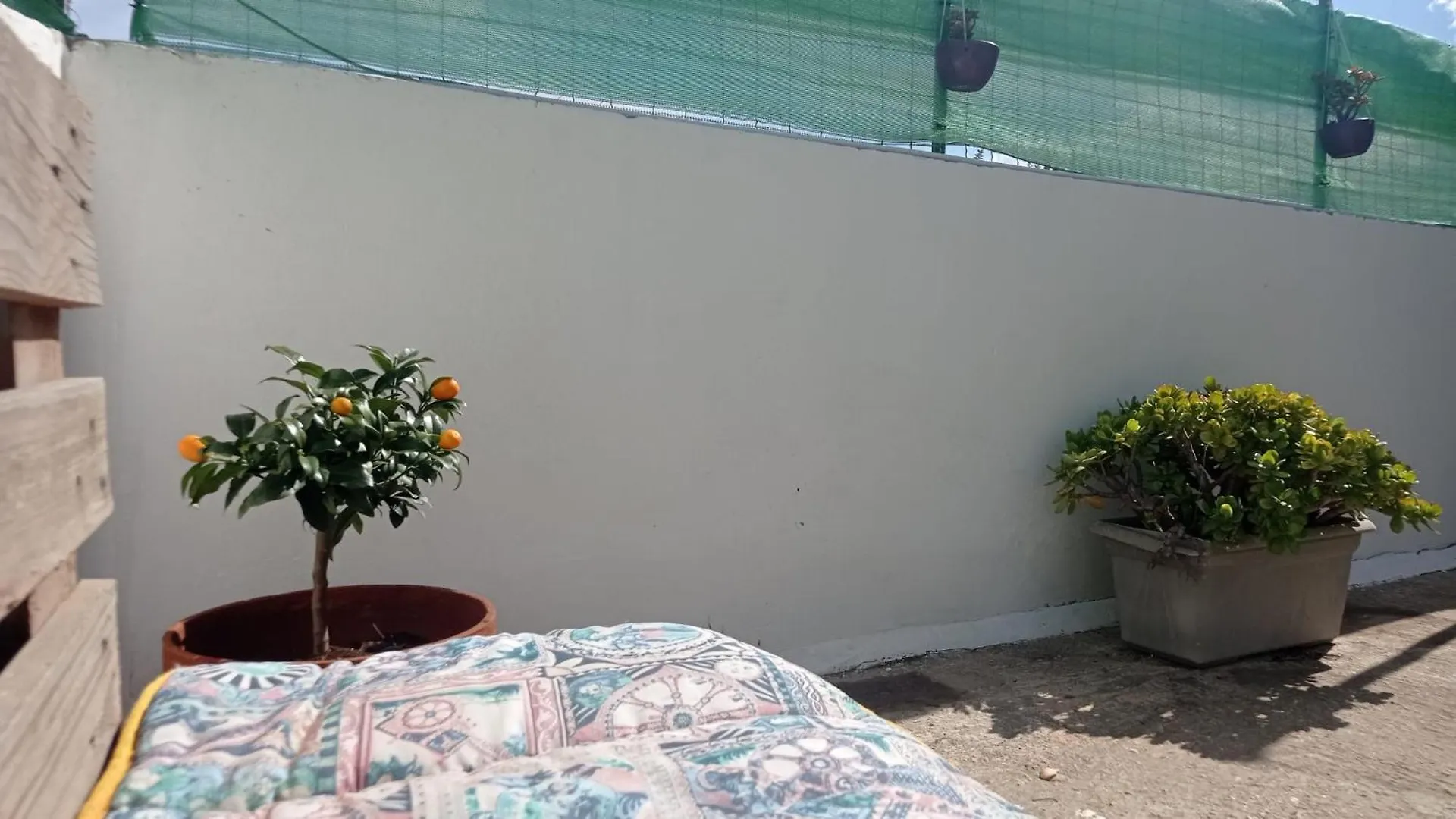 Апартаменты Casa Dalila Бельведере Италия